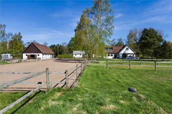 Bild Hästgård